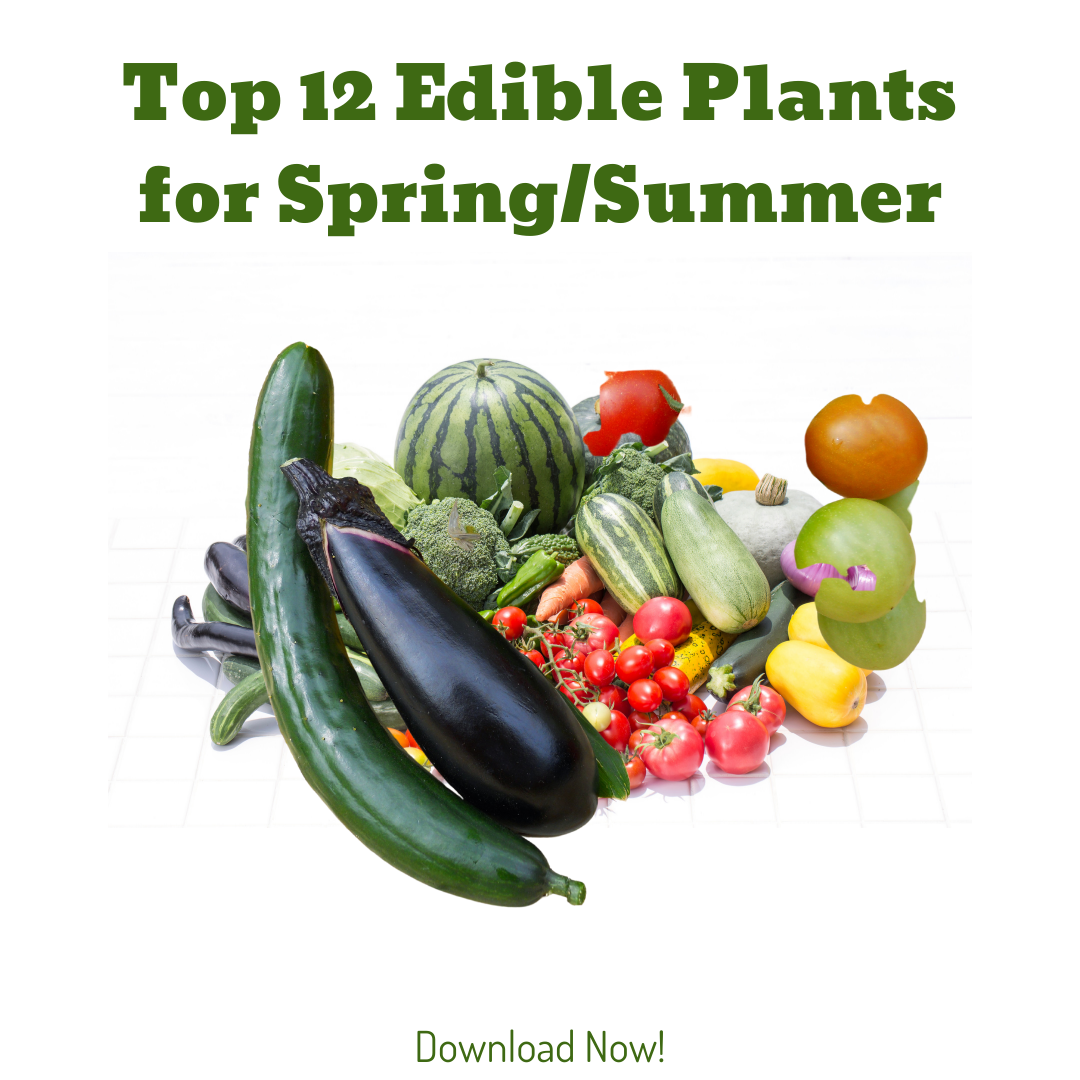 12 Edibles for Spring and Summer