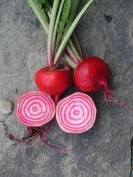 Chioggia betroot