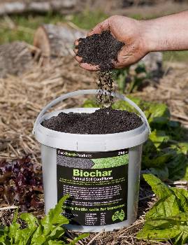 Biochar image