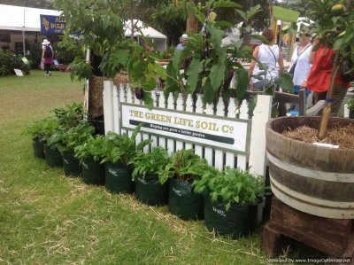 garden week display