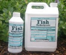 fish hydrolysate