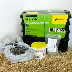 Worm Farm Kit